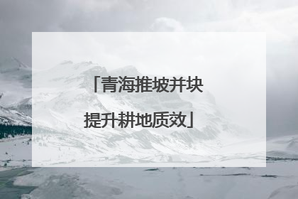 青海推坡并块提升耕地质效