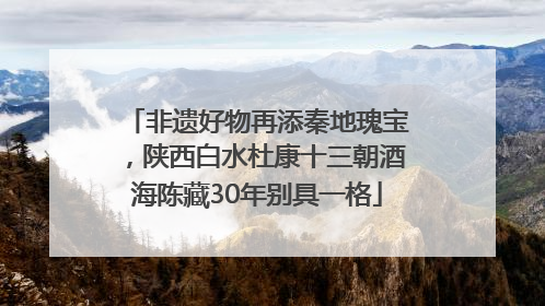 非遗好物再添秦地瑰宝，陕西白水杜康十三朝酒海陈藏30年别具一格