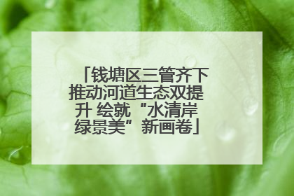钱塘区三管齐下推动河道生态双提升 绘就“水清岸绿景美”新画卷