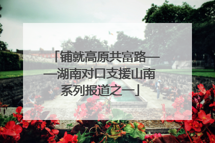 铺就高原共富路——湖南对口支援山南系列报道之一