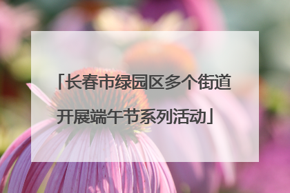长春市绿园区多个街道开展端午节系列活动