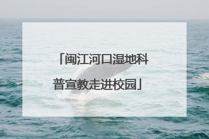 闽江河口湿地科普宣教走进校园