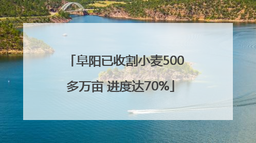阜阳已收割小麦500多万亩 进度达70%