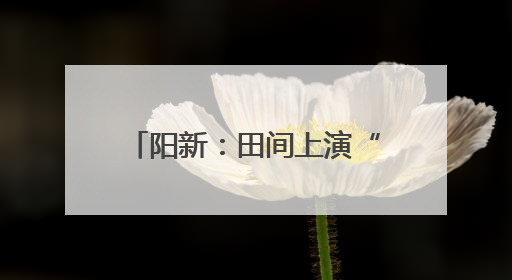 阳新：田间上演“虫粮博弈”看生物武器扭转“战局”
