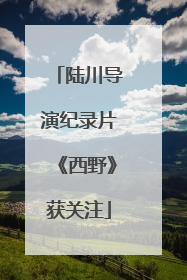 陆川导演纪录片《西野》获关注