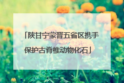 陕甘宁蒙晋五省区携手保护古脊椎动物化石