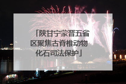 陕甘宁蒙晋五省区聚焦古脊椎动物化石司法保护