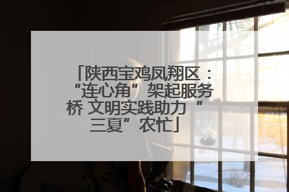 陕西宝鸡凤翔区：“连心角”架起服务桥 文明实践助力“三夏”农忙
