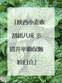 陕西小麦收割超八成 多措并举确保颗粒归仓