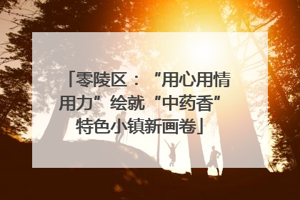 零陵区：“用心用情用力”绘就“中药香”特色小镇新画卷