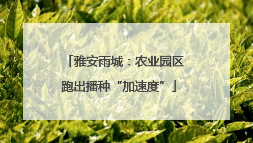 雅安雨城：农业园区跑出播种“加速度”
