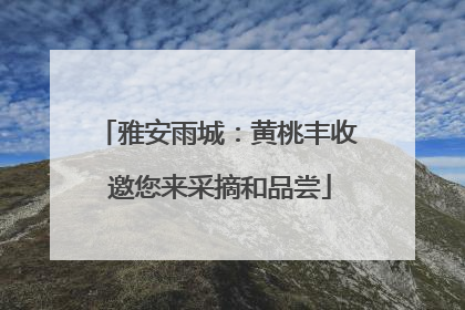雅安雨城：黄桃丰收 邀您来采摘和品尝