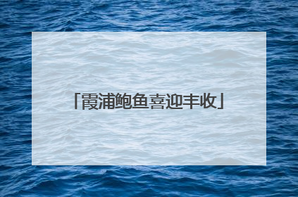 霞浦鲍鱼喜迎丰收