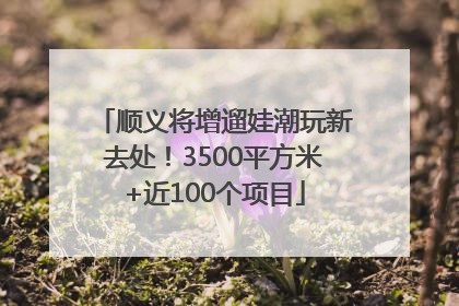 顺义将增遛娃潮玩新去处！3500平方米+近100个项目