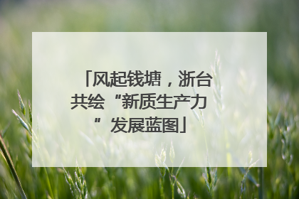 风起钱塘，浙台共绘“新质生产力”发展蓝图