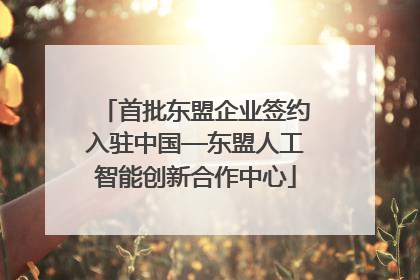 首批东盟企业签约入驻中国—东盟人工智能创新合作中心