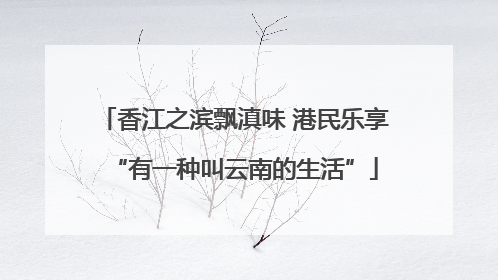 香江之滨飘滇味 港民乐享“有一种叫云南的生活”