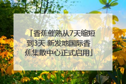 香蕉催熟从7天缩短到3天 新发地国际香蕉集散中心正式启用