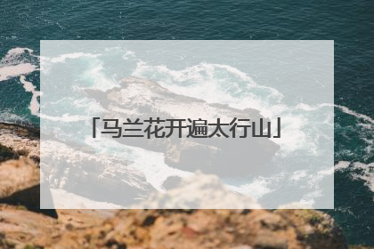 马兰花开遍太行山