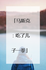 马斯克：吃了儿子一拳