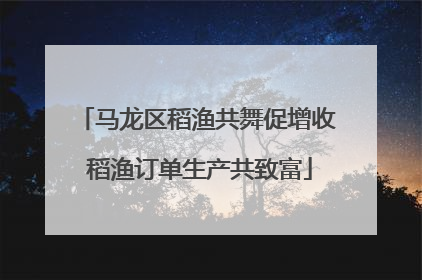 马龙区稻渔共舞促增收 稻渔订单生产共致富