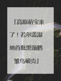 高原萌宝来了！若尔盖湿地首批黑颈鹤雏鸟破壳