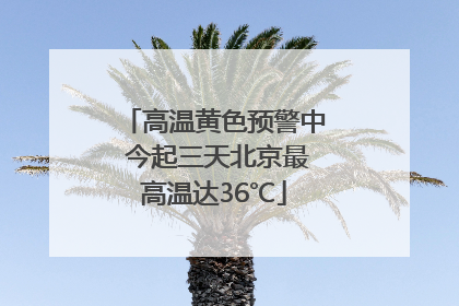 高温黄色预警中 今起三天北京最高温达36℃