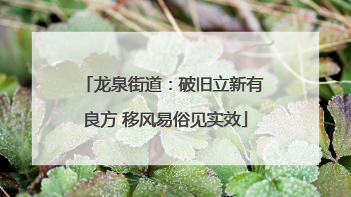 龙泉街道：破旧立新有良方 移风易俗见实效