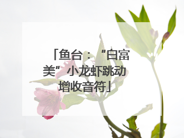 鱼台：“白富美”小龙虾跳动增收音符