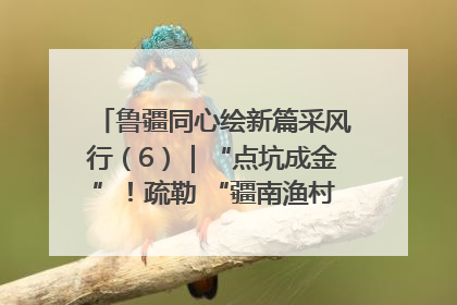 鲁疆同心绘新篇采风行（6）｜“点坑成金”！疏勒 “疆南渔村” 从废弃坑塘变身全国垂钓胜地