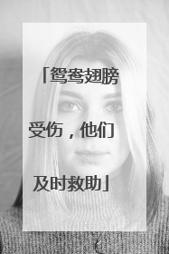鸳鸯翅膀受伤，他们及时救助