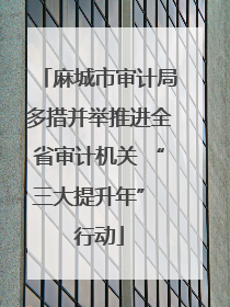 麻城市审计局多措并举推进全省审计机关 “三大提升年” 行动