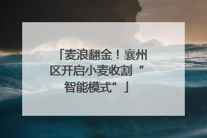麦浪翻金！襄州区开启小麦收割“智能模式”
