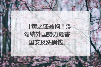 黄之锋被拘！涉勾结外国势力危害国安及洗黑钱
