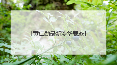 黄仁勋最新涉华表态