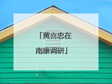 黄喜忠在南康调研