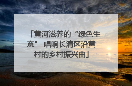 黄河滋养的“绿色生意” 唱响长清区沿黄村的乡村振兴曲