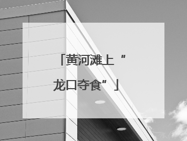 黄河滩上“龙口夺食”
