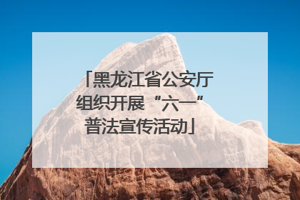 黑龙江省公安厅组织开展“六一”普法宣传活动