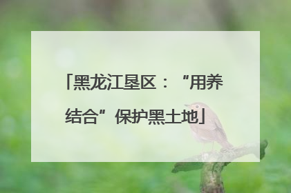 黑龙江垦区：“用养结合”保护黑土地