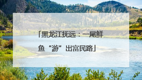 黑龙江抚远：一尾鲜鱼“游”出富民路