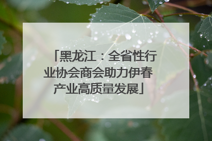 黑龙江：全省性行业协会商会助力伊春产业高质量发展