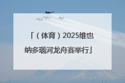 （体育）2025维也纳多瑙河龙舟赛举行