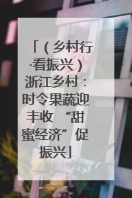 （乡村行·看振兴）浙江乡村：时令果蔬迎丰收 “甜蜜经济”促振兴