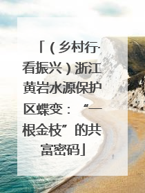 （乡村行·看振兴）浙江黄岩水源保护区蝶变：“一根金枝”的共富密码