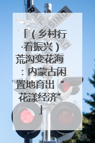 （乡村行·看振兴）荒沟变花海：内蒙古闲置地育出“花漾经济”
