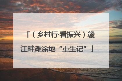 （乡村行·看振兴）赣江畔滩涂地“重生记”