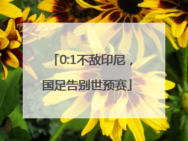 0:1不敌印尼，国足告别世预赛