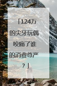 124万的尖牙玩偶 咬痛了谁的消费尊严？