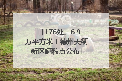176处、6.9万平方米！德州天衢新区晒粮点公布